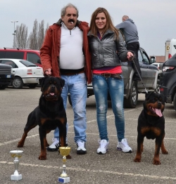 Balou Hause of Avramovic