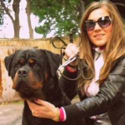 Balou Hause of Avramovic