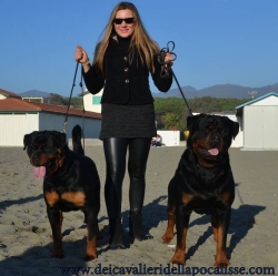 Balou Hause of Avramovic