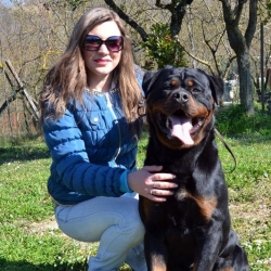 Balou Hause of Avramovic