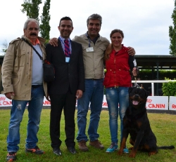 Balou Hause of Avramovic