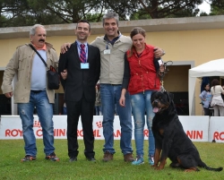 Balou Hause of Avramovic